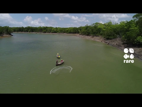 Pesca para Sempre